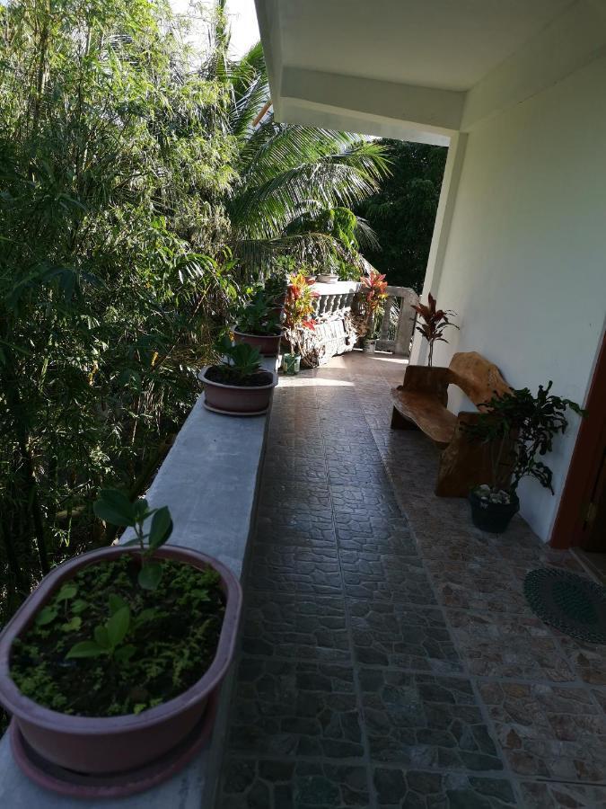 Anvel Homestay Basco Bagian luar foto